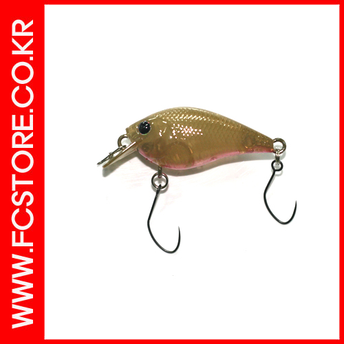 ��ǰ ������