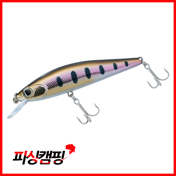 ��ǰ ������