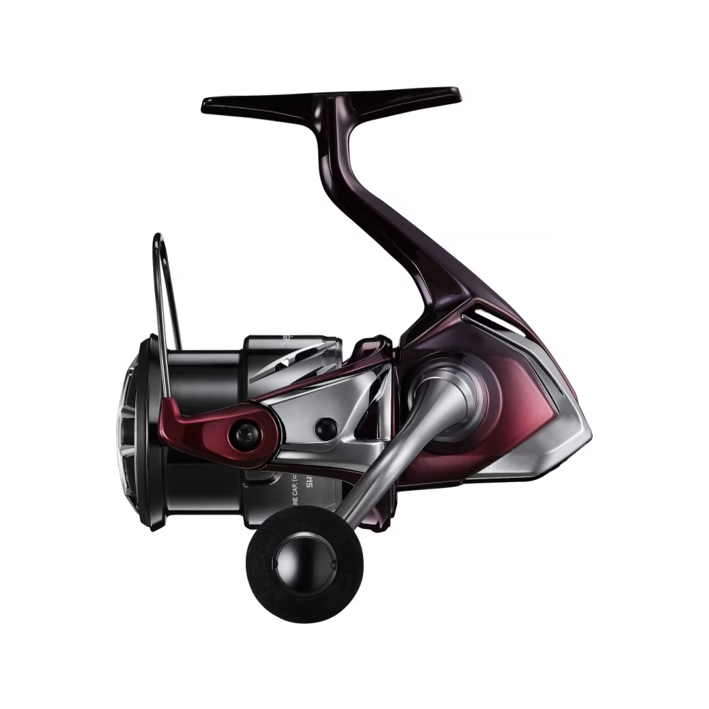 ��ǰ ������