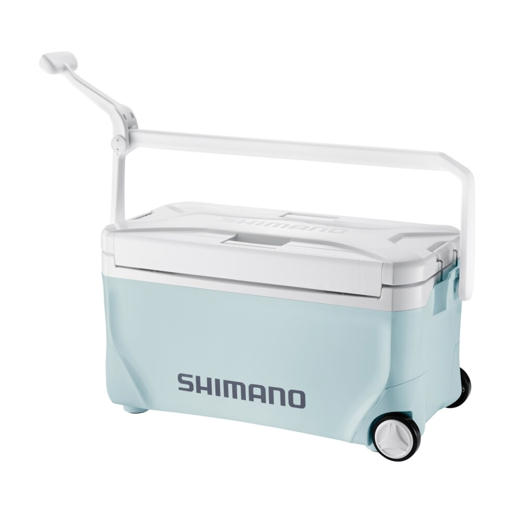 ��ǰ ������