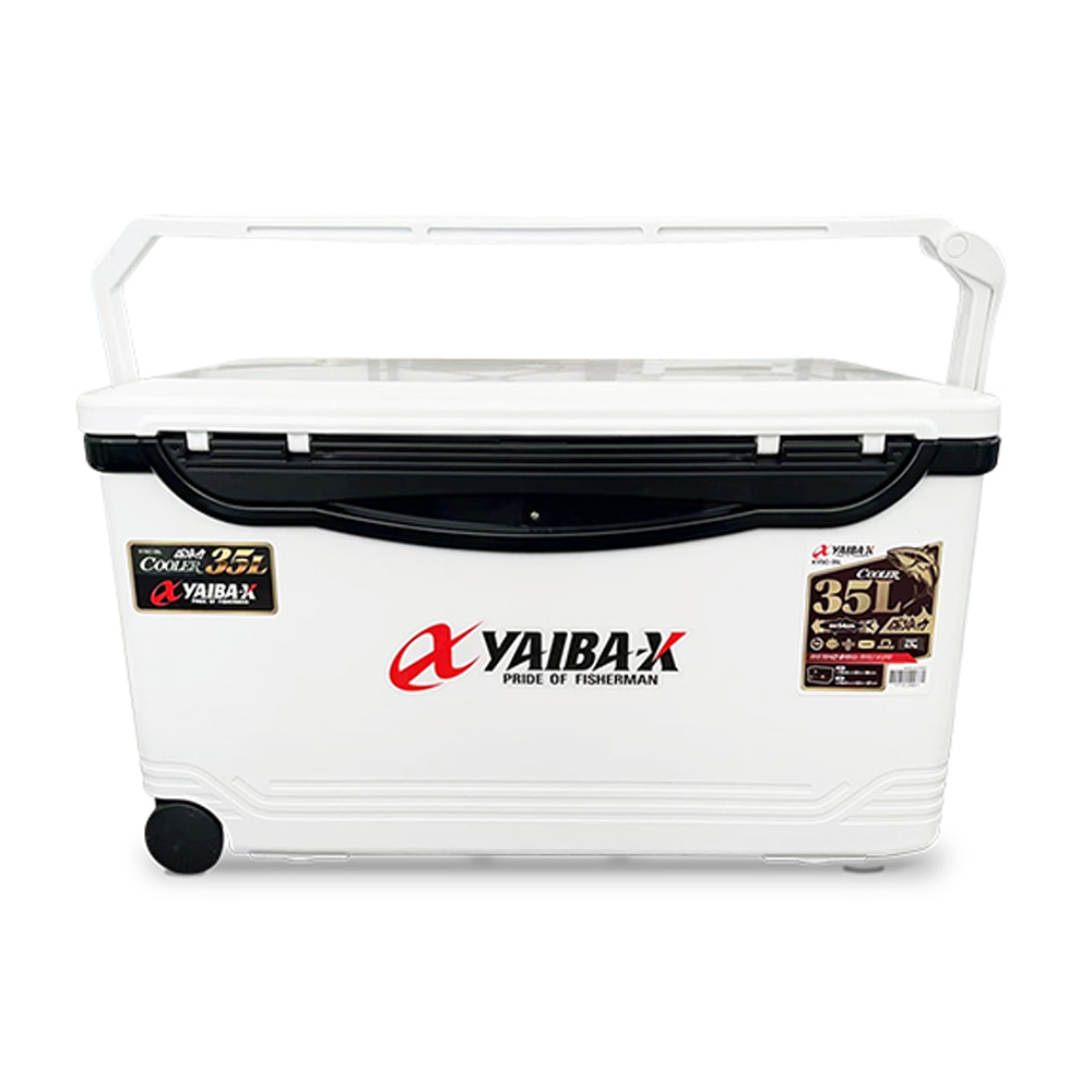 ��ǰ ������